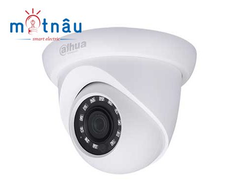 Camera IP Dahua DSS DS2130DIP (1.0 Megapixel)